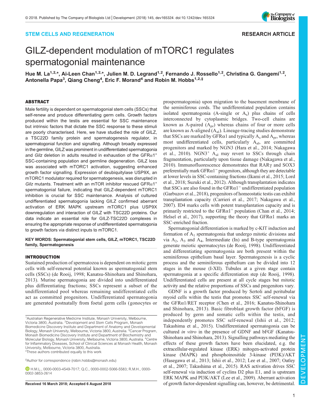 GILZ-Dependent Modulation of Mtorc1 Regulates Spermatogonial Maintenance Hue M