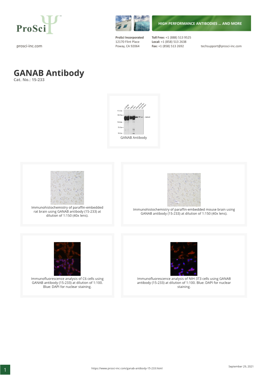 GANAB Antibody Cat