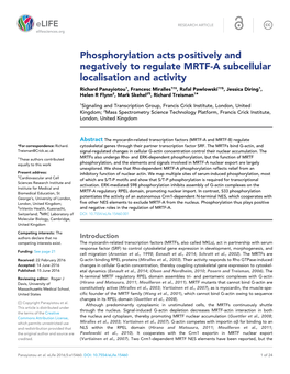 Phosphorylation Acts Positively And