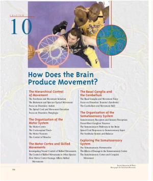 How Does the Brain Produce Movement?