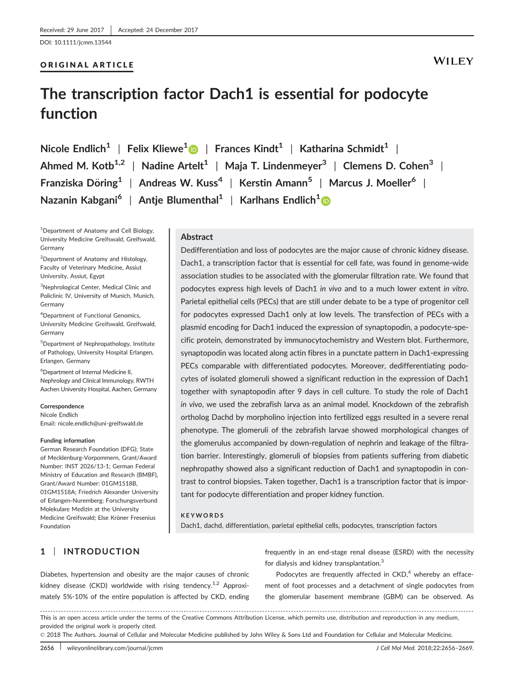 The Transcription Factor Dach1 Is Essential for Podocyte Function