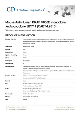 Mouse Anti-Human BRAF V600E Monoclonal Antibody, Clone JID711 (CABT-L2810) This Product Is for Research Use Only and Is Not Intended for Diagnostic Use
