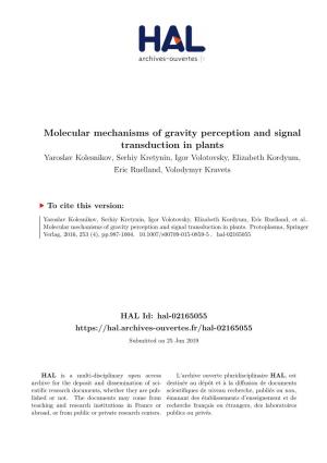 Molecular Mechanisms of Gravity Perception and Signal Transduction