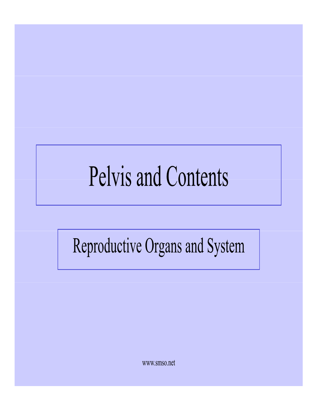 Pelvis and Contents