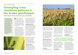 Untangling Cross Resistance Patterns in the Brown Planthopper Using Long-Term Monitoring of Insecticide Susceptibilities