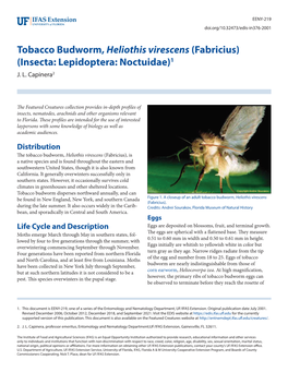 Tobacco Budworm, Heliothis Virescens (Fabricius) (Insecta: Lepidoptera: Noctuidae)1 J
