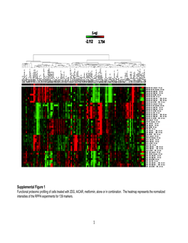 Supplemental Figure 1 Functional Proteomic Profiling of Cells Treated with 2DG, AICAR, Metformin, Alone Or in Combination