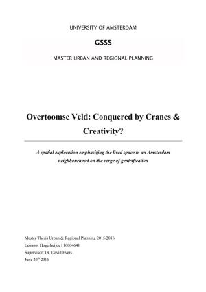 Overtoomse Veld: Conquered by Cranes & Creativity?
