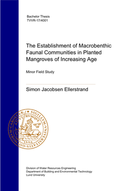 The Establishment of Macrobenthic Faunal Communities in Planted Mangroves of Increasing Age
