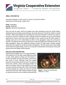 SMALL HIVE BEETLE Authored by Morgan A. Roth, Aaron D. Gross