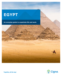 Egypt Expat Guide.Pdf