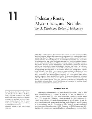 11 Podocarp Roots, Mycorrhizas, and Nodules Ian A