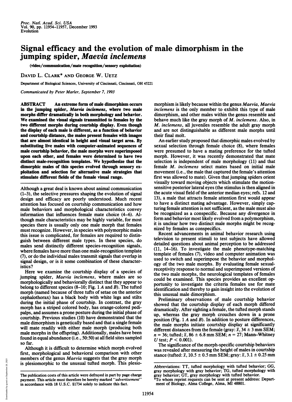 Signal Efficacy and the Evolution of Male Dimorphism in the Jumping Spider, Maevia Inclemens (Video/Communication/Mate Recognition/Sensory Exploitation) DAVID L