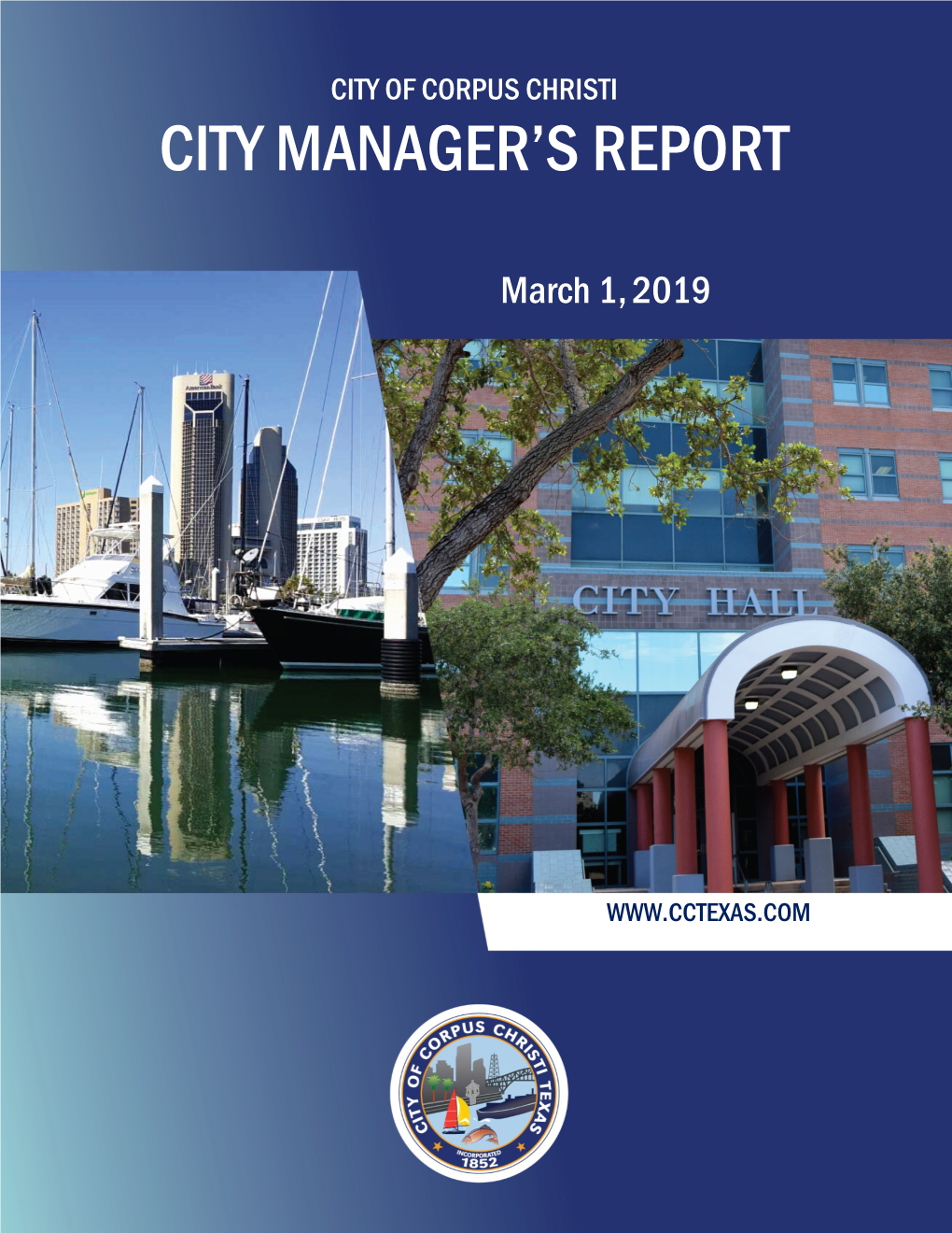 City Manager's Report