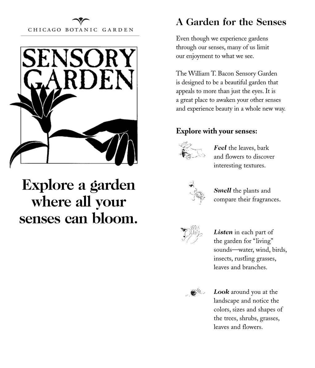 Sensory Pdf 5/31/06 1:09 PM Page 1