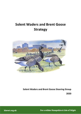 Solent Waders and Brent Goose Strategy