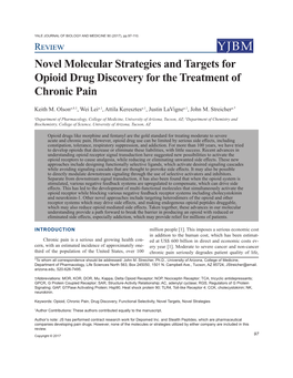 Novel Molecular Strategies and Targets for Opioid Drug Discovery for the Treatment of Chronic Pain