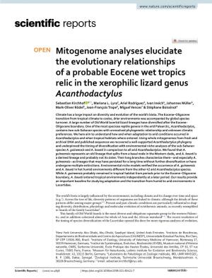 Mitogenome Analyses Elucidate the Evolutionary Relationships of a Probable Eocene Wet Tropics Relic in the Xerophilic Lizard