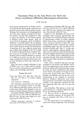 Taxonomic Notes on the Ants Ponera Leae Forel and Ponera Norfolkensis (Wheeler) (Hymenoptera-Formicidae)