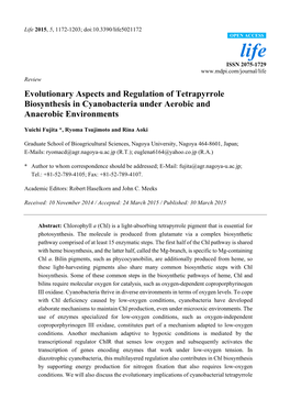 Evolutionary Aspects and Regulation of Tetrapyrrole Biosynthesis in Cyanobacteria Under Aerobic and Anaerobic Environments