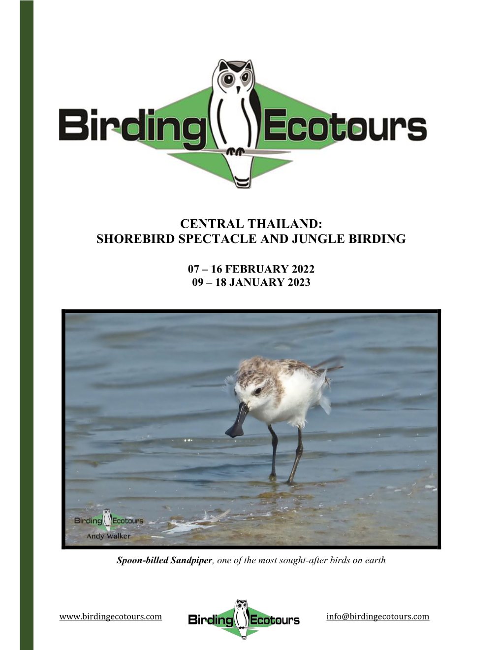 Central Thailand: Shorebird Spectacle and Jungle Birding