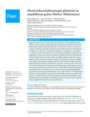 Flood Induced Phenotypic Plasticity in Amphibious Genus Elatine (Elatinaceae)