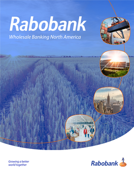 Rabobank Brochure