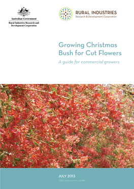 Growing Christmas Bush for Cut Flowers a Guide for Commercial Growers