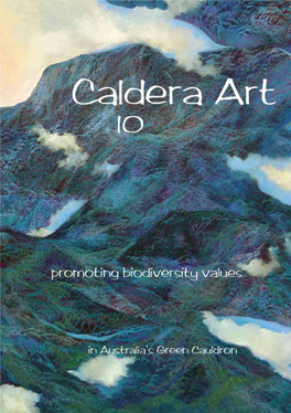Caldera Art Embraces the Region As Defined by the Extent of the Lava Flows Associated with the Original Mt