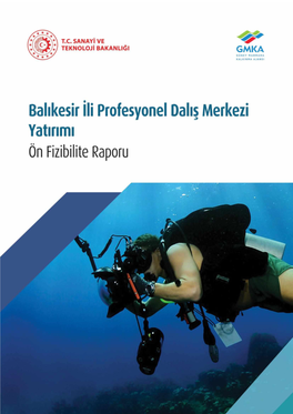 Balikesir-Ili-Profesyonel-Dalis-Merkezi-Yatirimi-On-Fizibilite-Raporu2020.Pdf