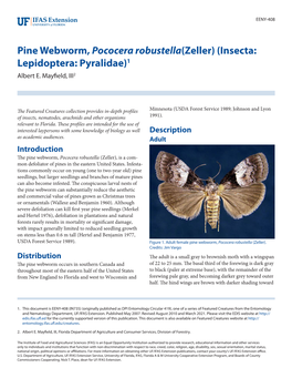 Pine Webworm, Pococera Robustella (Zeller), Is a Com- Mon Defoliator of Pines in the Eastern United States