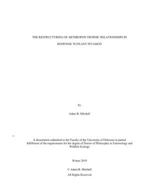 1 the RESTRUCTURING of ARTHROPOD TROPHIC RELATIONSHIPS in RESPONSE to PLANT INVASION by Adam B. Mitchell a Dissertation Submitt