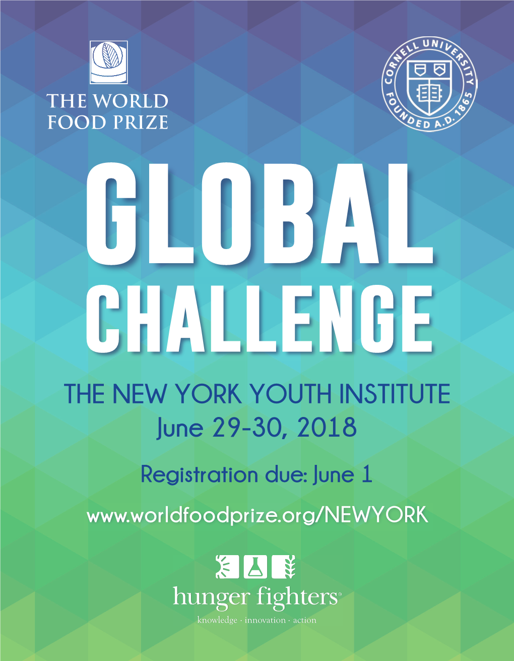 THE NEW YORK YOUTH INSTITUTE June 29-30, 2018 Registration Due: June 1 2 Global Challenge