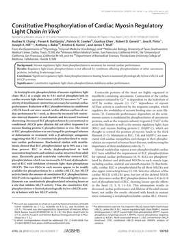 Constitutive Phosphorylation of Cardiac Myosin Regulatory Light