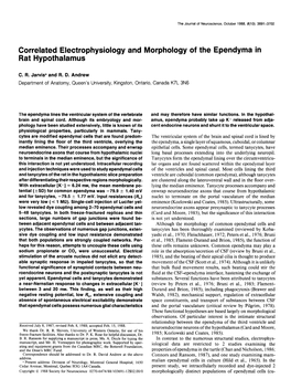 Correlated Electrophysiology and Morphology of the Ependyma in Rat Hypothalamus