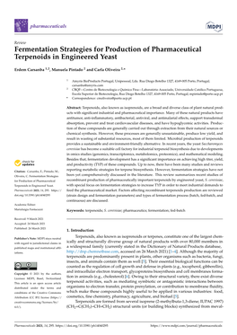 Fermentation Strategies for Production of Pharmaceutical Terpenoids in Engineered Yeast