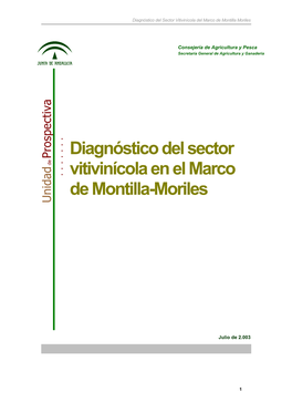 Diagnóstico Del Sector Vitivinícola En El Marco De Montilla-Moriles