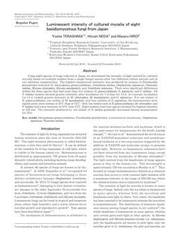 Luminescent Intensity of Cultured Mycelia of Eight Basidiomycetous Fungi from Japan