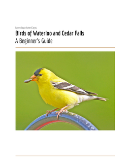 Birds of Waterloo and Cedar Falls a Beginner's Guide