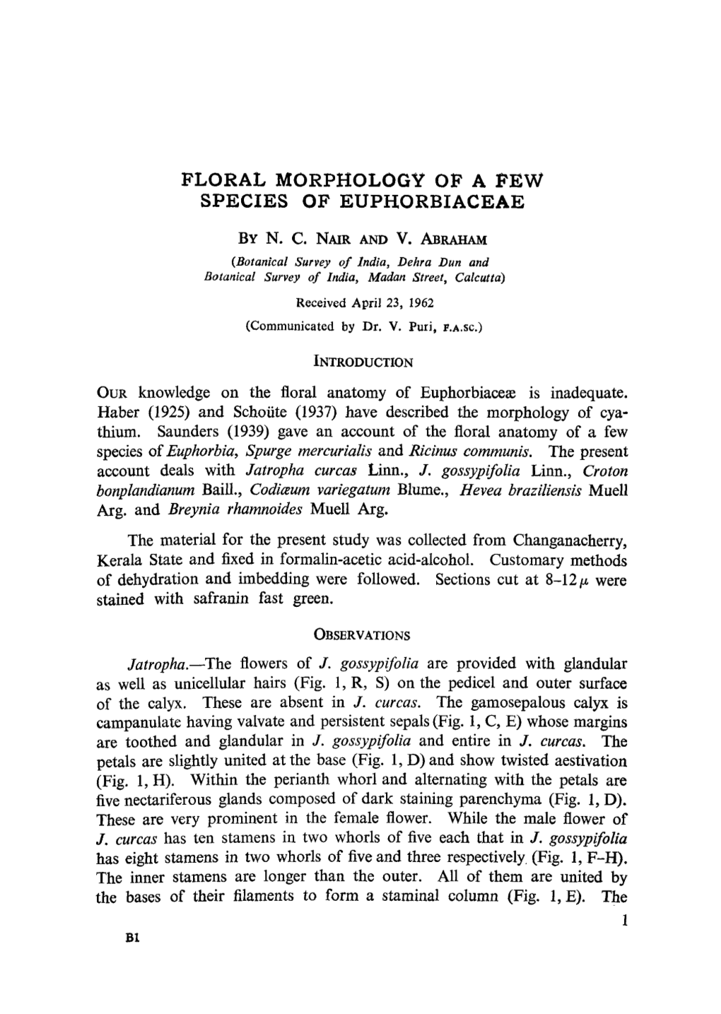 Floral Morphology of a Few Species of Euphorbiaceae by N