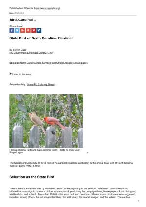 Bird, Cardinal
