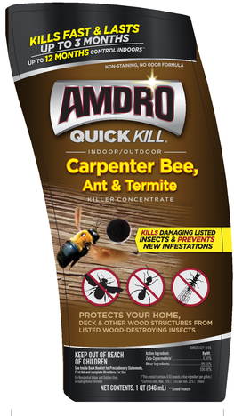 Carpenter Bee, Carpenter Bee