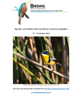Brazil: Southern Specialties & Coastal Marshes 15 – 31