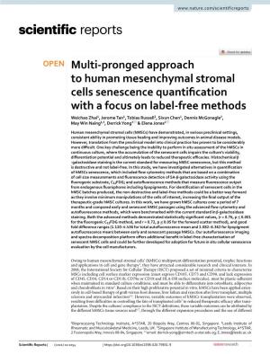 Multi-Pronged Approach to Human Mesenchymal Stromal Cells