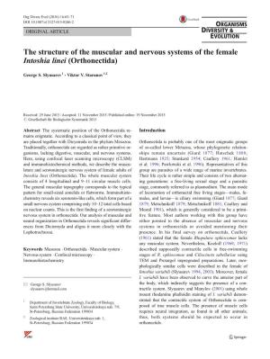 The Structure of the Muscular and Nervous Systems of the Female Intoshia Linei (Orthonectida)