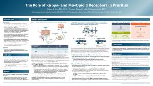 And Mu- Opioid Receptors in Pruritus