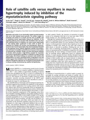 Role of Satellite Cells Versus Myofibers in Muscle Hypertrophy Induced By