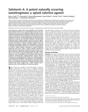 Salvinorin A: a Potent Naturally Occurring Nonnitrogenous Opioid Selective Agonist