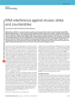 RNA Interference Against Viruses: Strike and Counterstrike