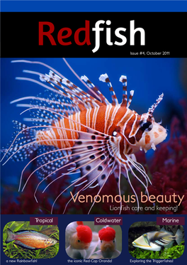 Venomous Beauty Lionfish Care and Keeping!